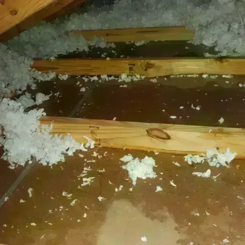 Attic Water Damage in Strafford, MO